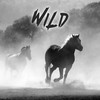 Wild - Hayai