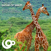 Safari Of Smiles (Roger Martinez Remix) - Prinsjan&Roger Martinez