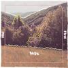 The First - Wix&Aaron Foster