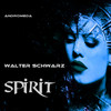 Dancing Lights - Walter Schwarz