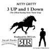 3 up and 1 Down - Nitty Gritty