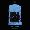 Jungle (Lowdown Remix) - Noizu