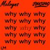 why - Melvyns&JINXSPR0