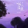 咽下温柔 (DJBanan版) - 袁小葳