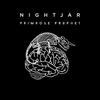 PRIMROSE PROPHET - Nightjar