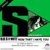 Now That I Have You (Prinsloo's Sub Sax Mix) - Blue&K-White