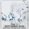 My Love at a Distance (Original Mix) - SounEmot&InStars&Elissandro