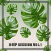 Hold Me Back (Original Mix) - Deepear