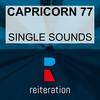 Wave of Passion (Dimension Zero Mix) - Capricorn 77