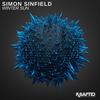 Winter Sun (Radio Edit) - Simon Sinfield