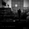 Romancing the Wilderness (Explicit) - Wes Felton