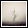 91 Takes Me Home (Original Mix) - Gianluca Pellerano
