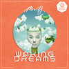 Waking Dreams - Mori DJ