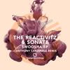 Swoosha (Original Mix) - The Reactivitz&Sonate