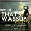 That's Wassup (Jason Risk & LJ MTX Remix) - Chris Bullen&Havoc (AUS)