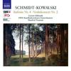 II. Romance: Andantino - Gernot Sussmuth&South West German Radio Kaiserslautern Orchestra&Manfred Neuman