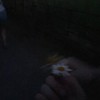 Midnight Summer Night (Demo) - Connolly