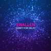 Sorry for Delay (David Temessi Remix) - Swallen