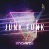 Junk Funk (Radio Edit) - Chris Vice