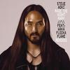 Rage the Night Away (Explicit) - Steve Aoki&Waka Flocka Flame