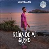 Reina De Mi Sueño - Jomy Galan
