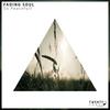 So Peaceful (Original Mix) - Fading Soul