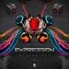 Out of Control (Expression Remix) - Psilocybe Project