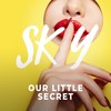 Our Little Secret (Evnomia Remix) - SKIY