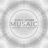 Musaic (Christopher FaFa Remix) - Vitaly Shturm