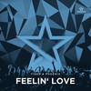 Feelin' Love (Extended Mix) - Tiger & Phoenix