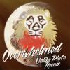 Overwhelmed (Unlike Pluto Remix) - Unlike Pluto&Aryay