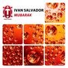 Mubarak (Radio Edit) - Iván Salvador