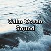 Sleepy Sea Sounds Healing Water Sounds Ambience Sounds - Pure Nature&Nature Sounds ï¿½ Sons de la nature&Nature