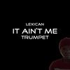 It Ain’t Me House (Trumpet Version) - Lexican