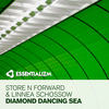 Diamond Dancing Sea (Original Mix) - Store N Forward&Linnea Schossow
