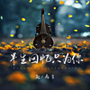 半生回忆只为你 - 赵雨星