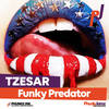 Funky Predator (Original Mix) - Tzesar