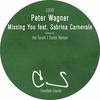 Missing You (Hot TuneiK Remix) - Peter Wagner&Sabrina Carnevale
