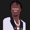 Probaly Not (Explicit) - Tjay