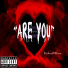 Are You (Explicit) - Trusoul Davis