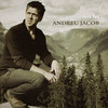 I Miss You - Andreu Jacob