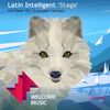 Stage (Ghoeyash Remix) - Latin Intelligent&Ghoeyash