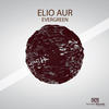 Evergreen - Elio Aur