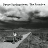 It's a Shame - Bruce Springsteen