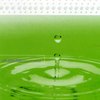The Blue Frog Spotted (Electric City Mix) - DJ Liquid&Echosphere
