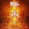 Vishnu - Sonic Sense