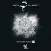 The Violin Effect (Radio Edit) - Pete Ellement