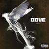 Dove (Explicit) - Leigh Paris