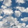 Sweatshirt (Explicit) - Steve