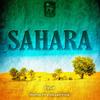 Sahara - Delp&Austin Delp